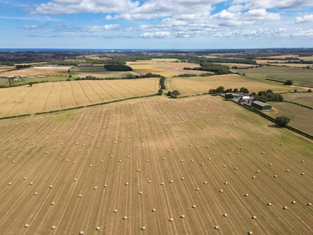 Farm land for sale - Image 1