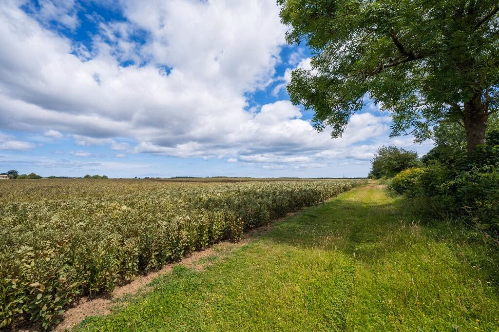 Farm land for sale - Image 2