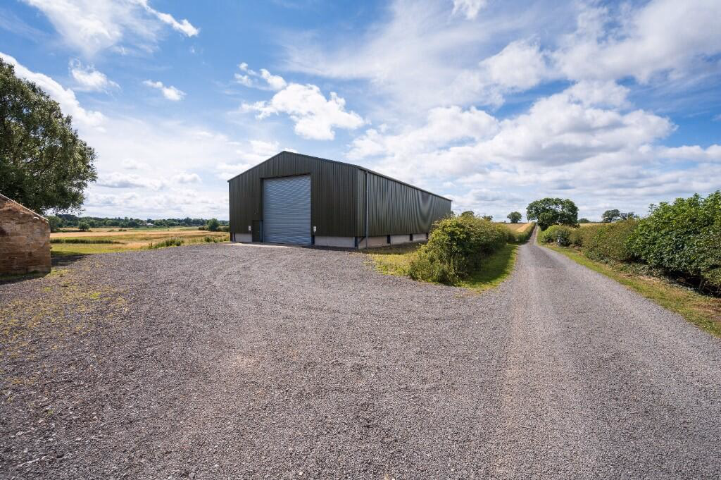 Farm land for sale - Image 3