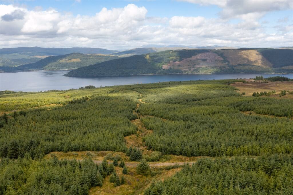 Land for sale - Image 1