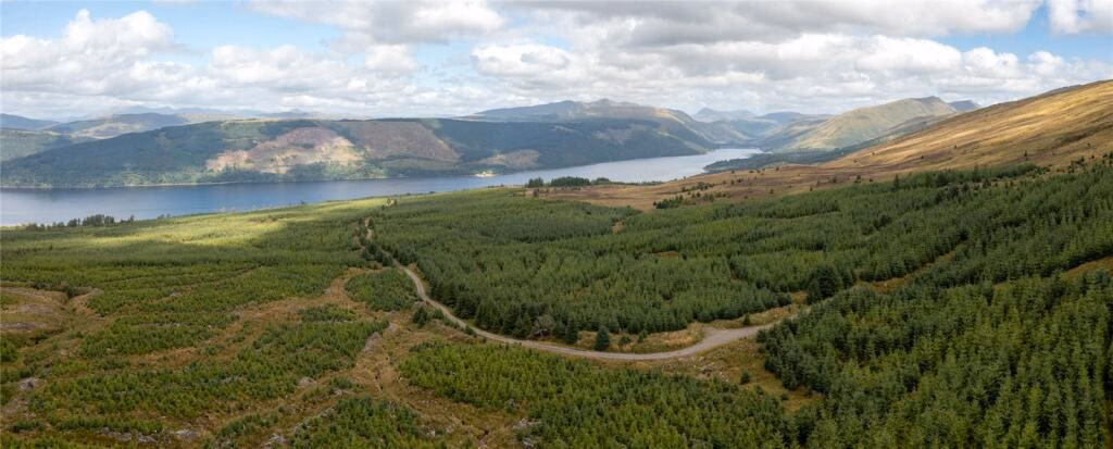 Land for sale - Image 2