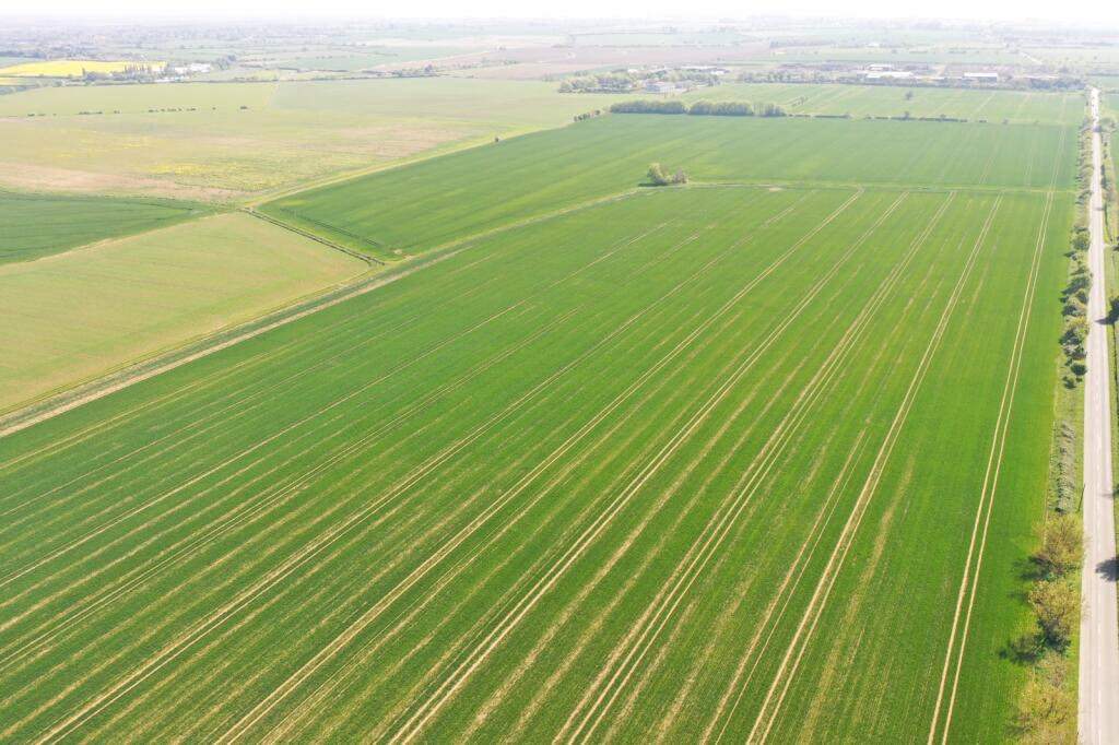 Farm land for sale - Image 3