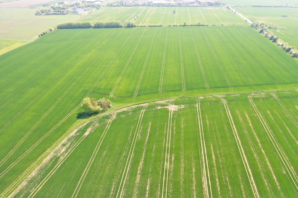 Farm land for sale - Image 4