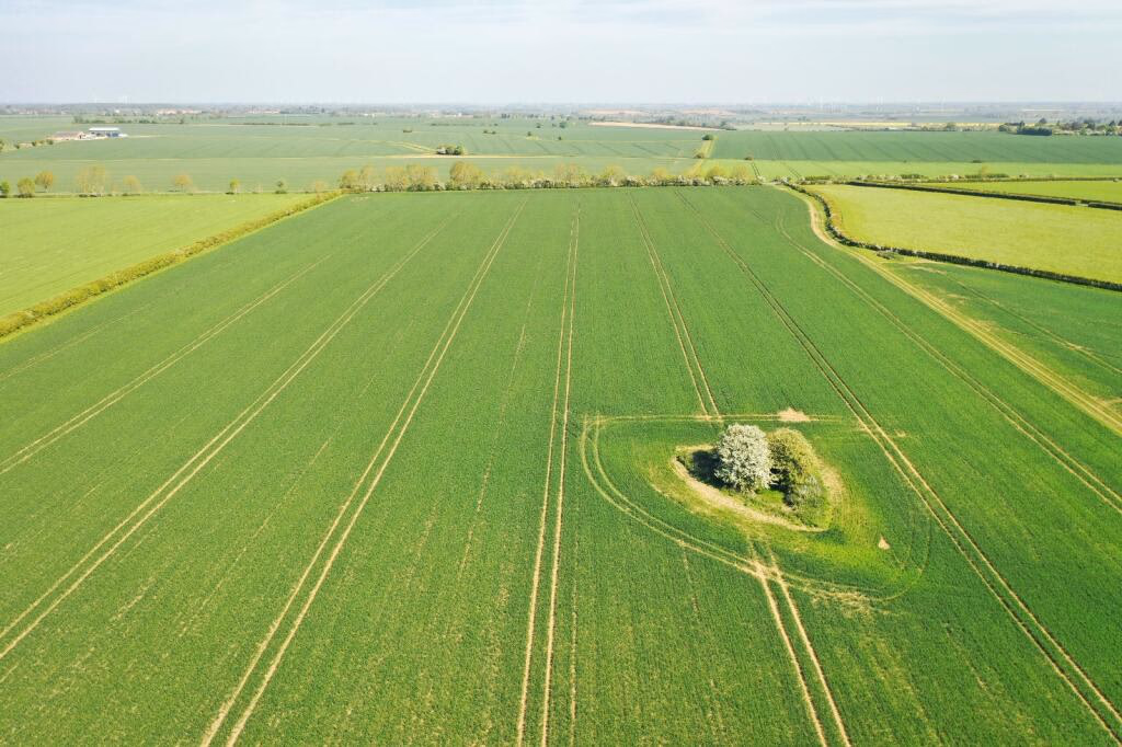 Farm land for sale - Image 5