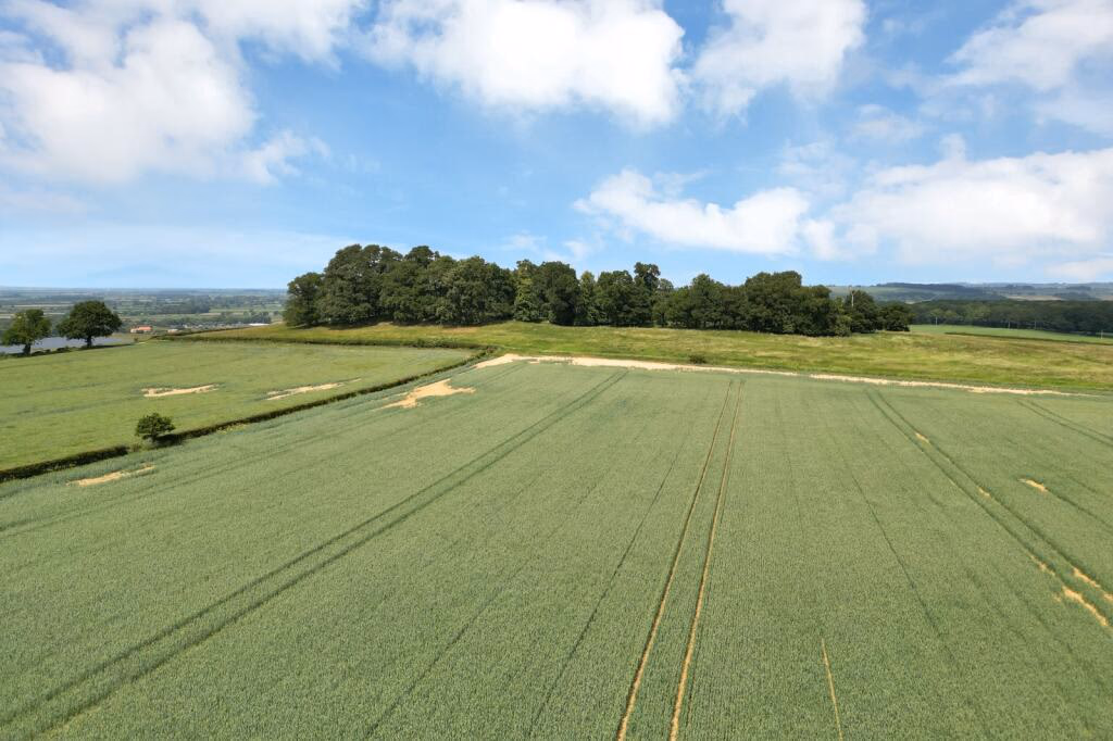 Land for sale - Image 4