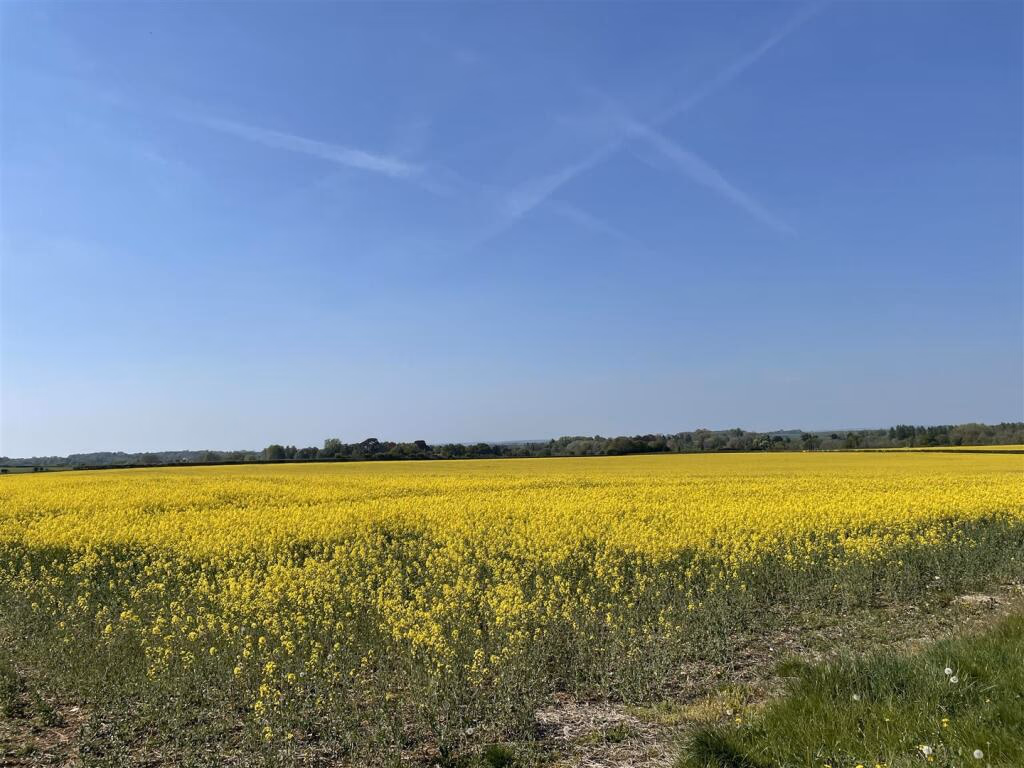 Land for sale - Image 1