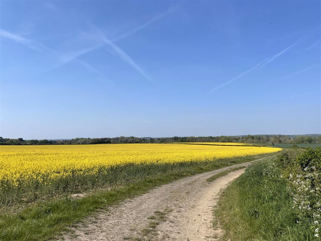 Land for sale - Image 5