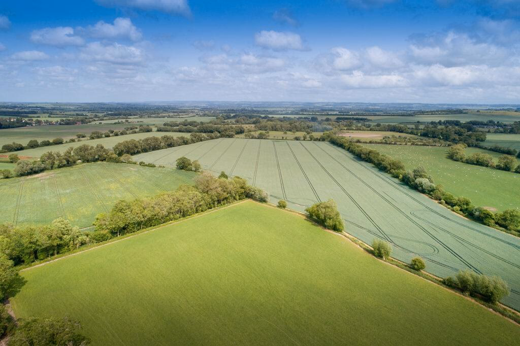 Farm land for sale - Image 1