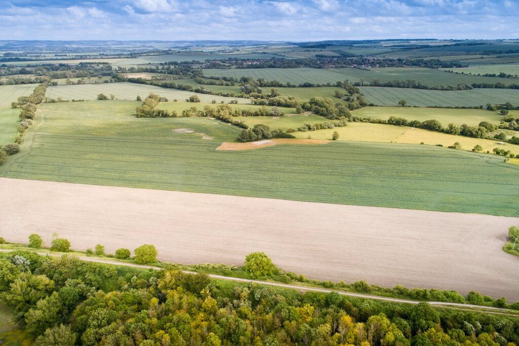 Farm land for sale - Image 2