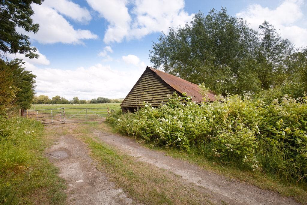 Farm land for sale - Image 3