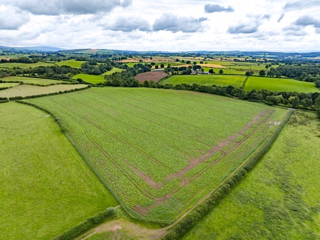 Land for sale - Image 1