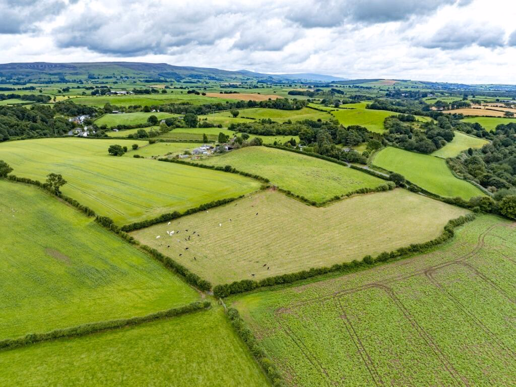 Land for sale - Image 2