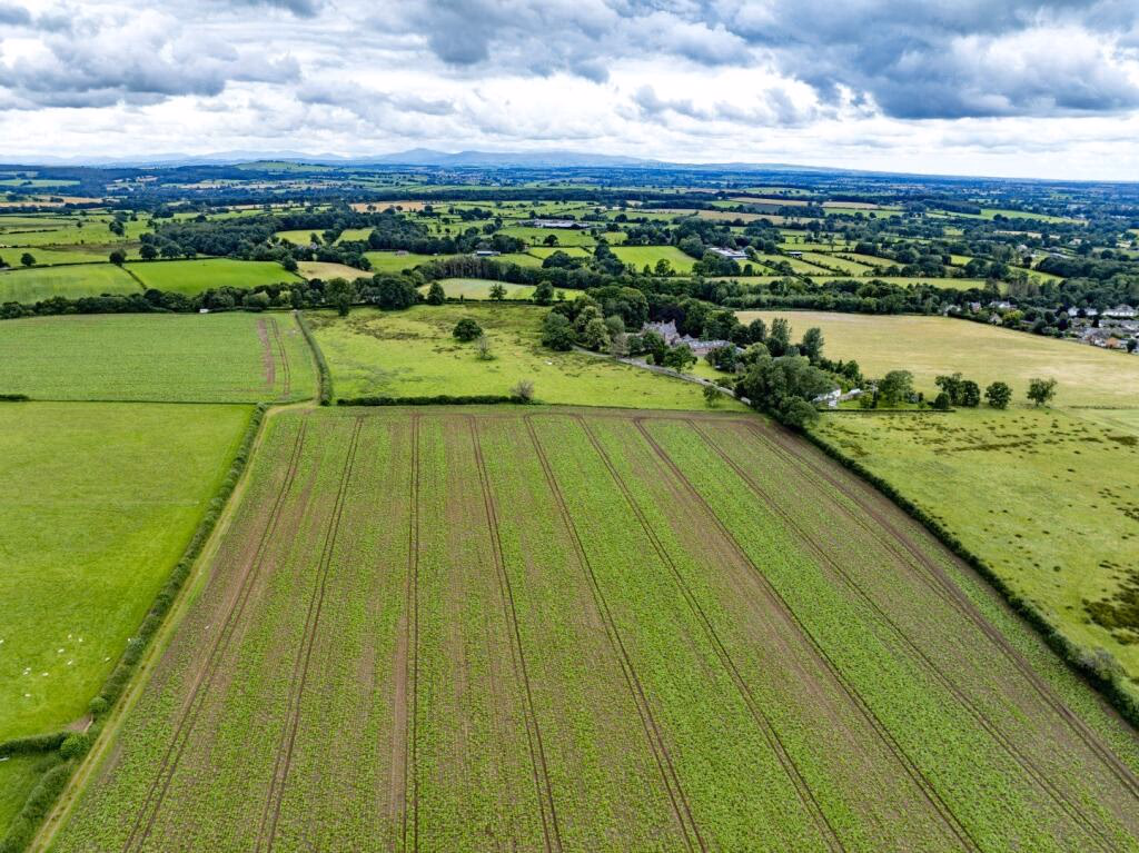 Land for sale - Image 4