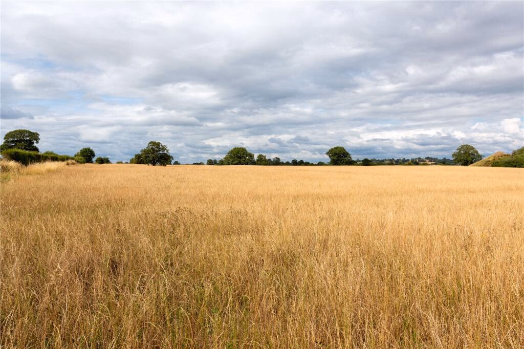 Land for sale - Image 3