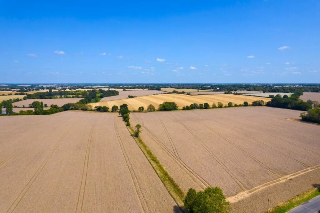 Land for sale - Image 1