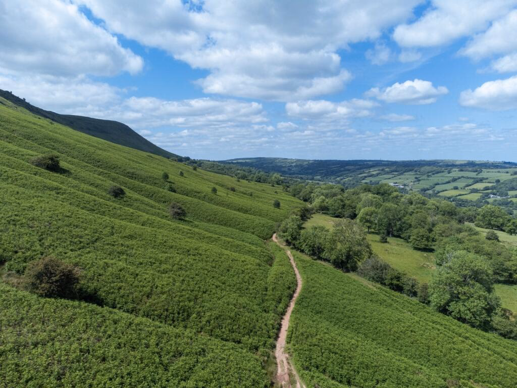 Land for sale - Image 4