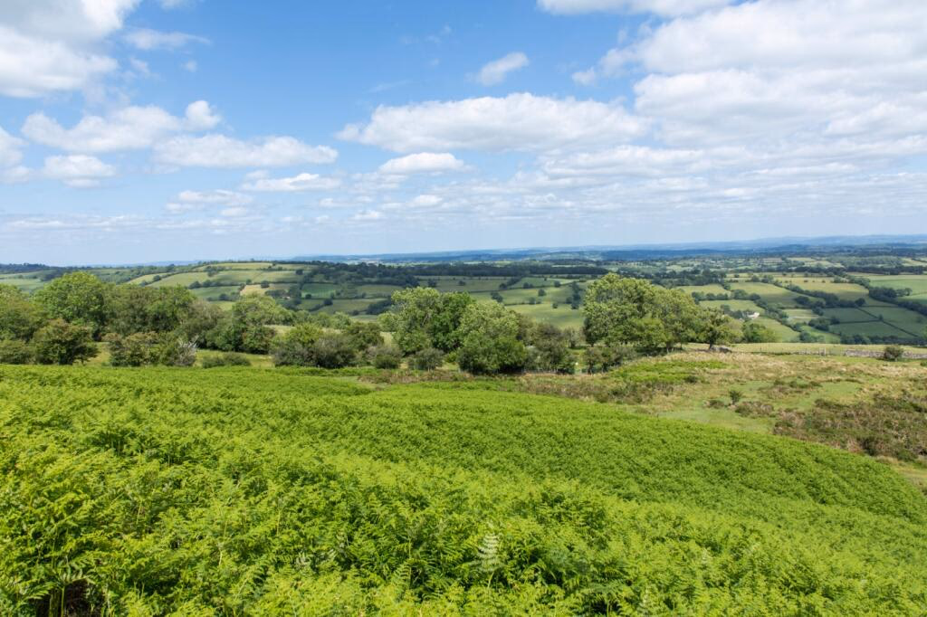 Land for sale - Image 5