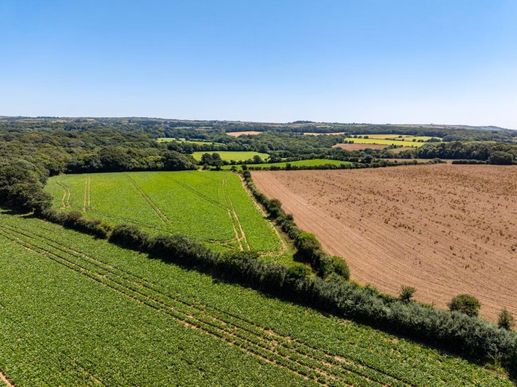 Land for sale - Image 4