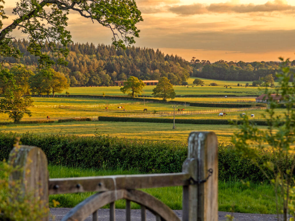 Land for sale - Image 1