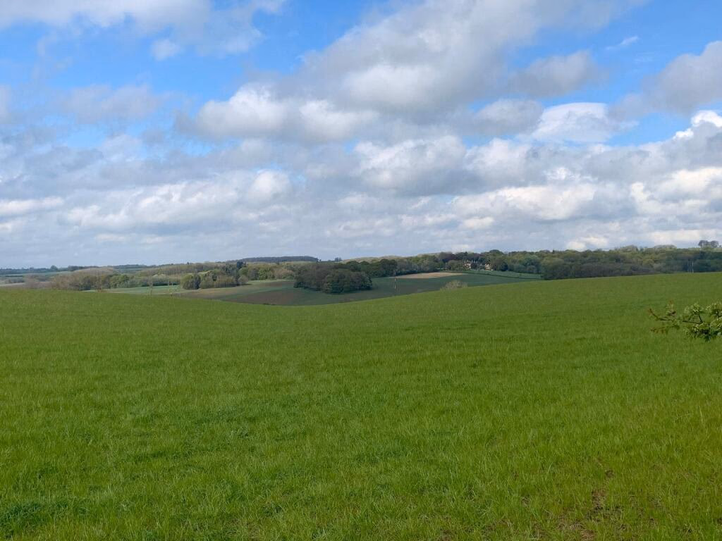 Land for sale - Image 3