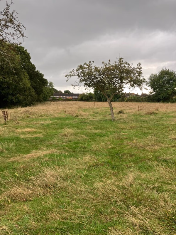 Land for sale - Image 2