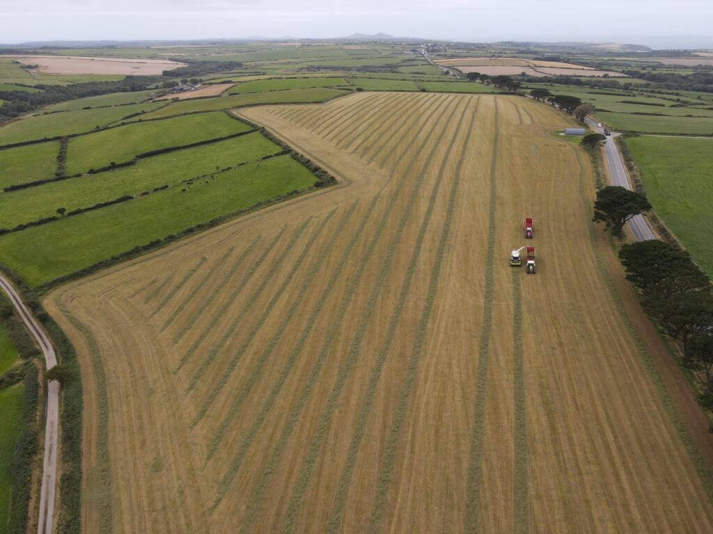 Smallholding for sale - Image 3