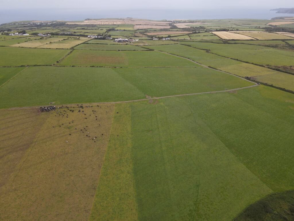 Smallholding for sale - Image 4