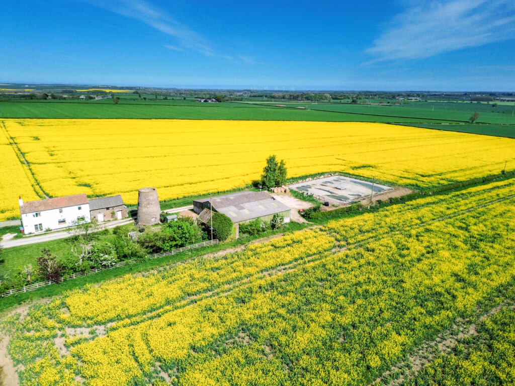 Farm land for sale - Image 2