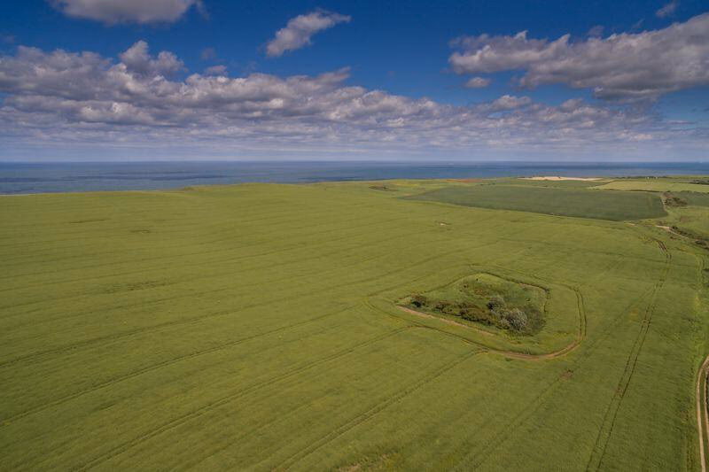 Farm land for sale - Image 3