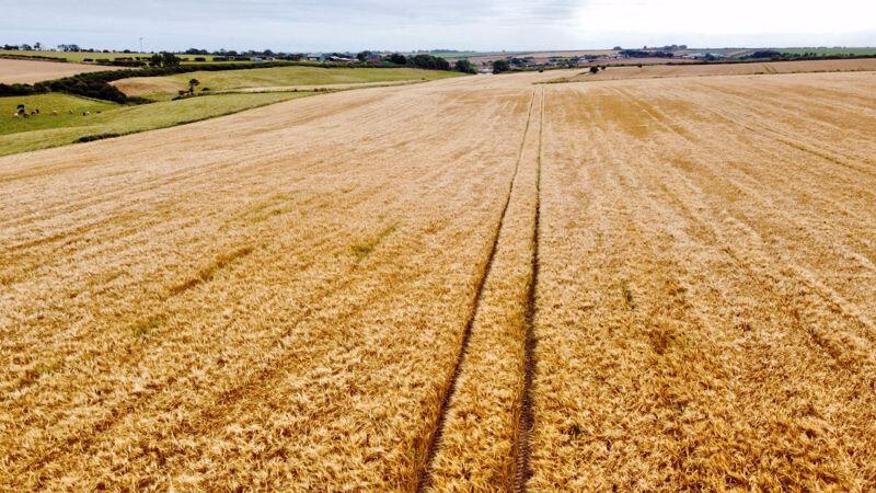 Farm land for sale - Image 4