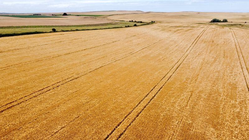 Farm land for sale - Image 5