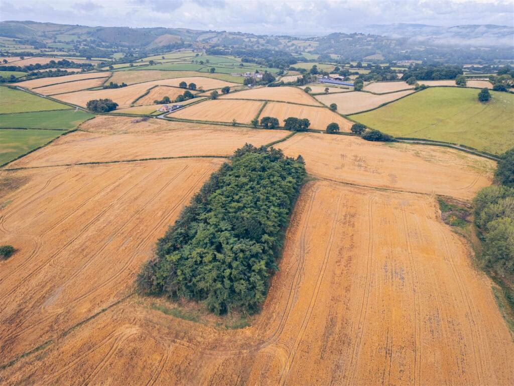 Land for sale - Image 5