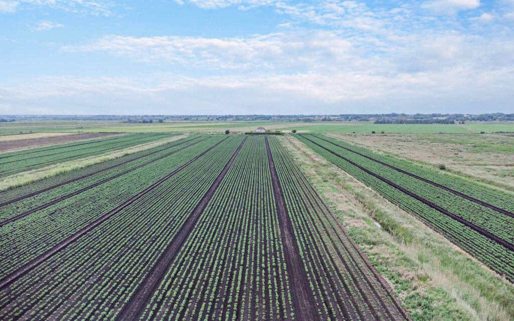 Land for sale - Image 1