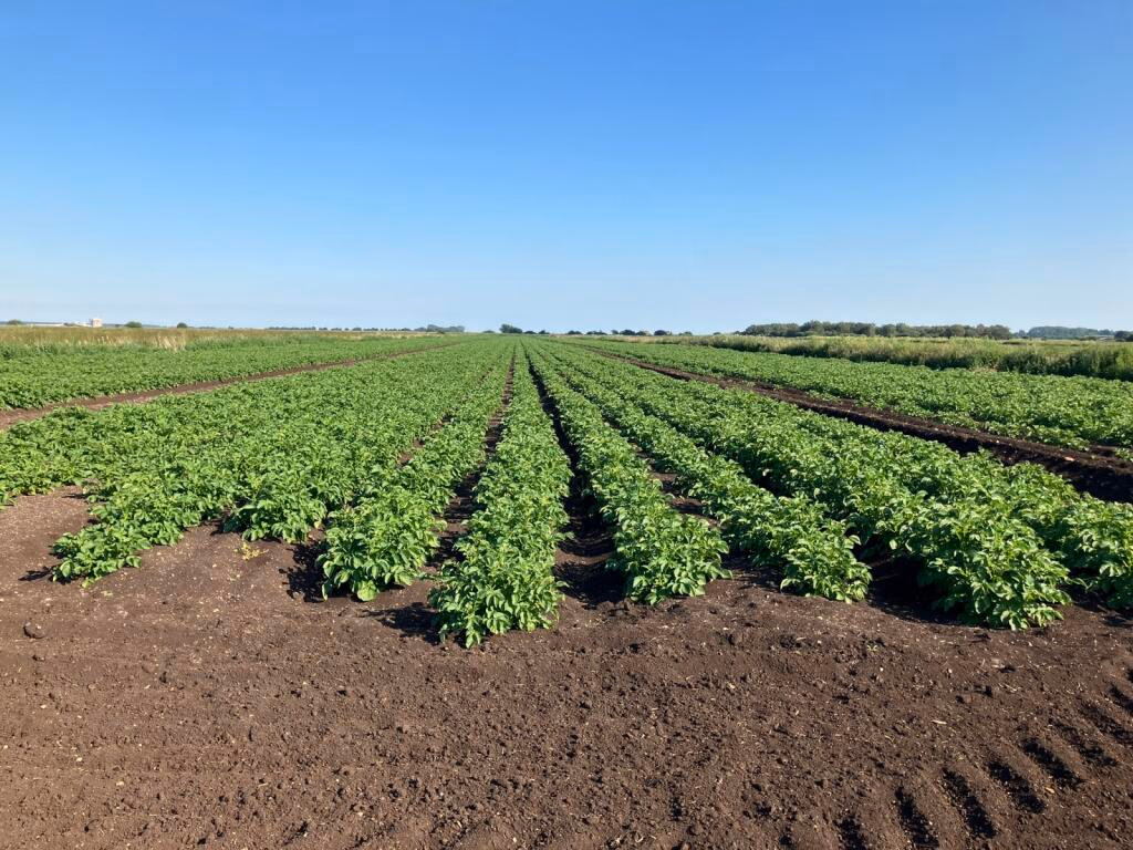 Land for sale - Image 2