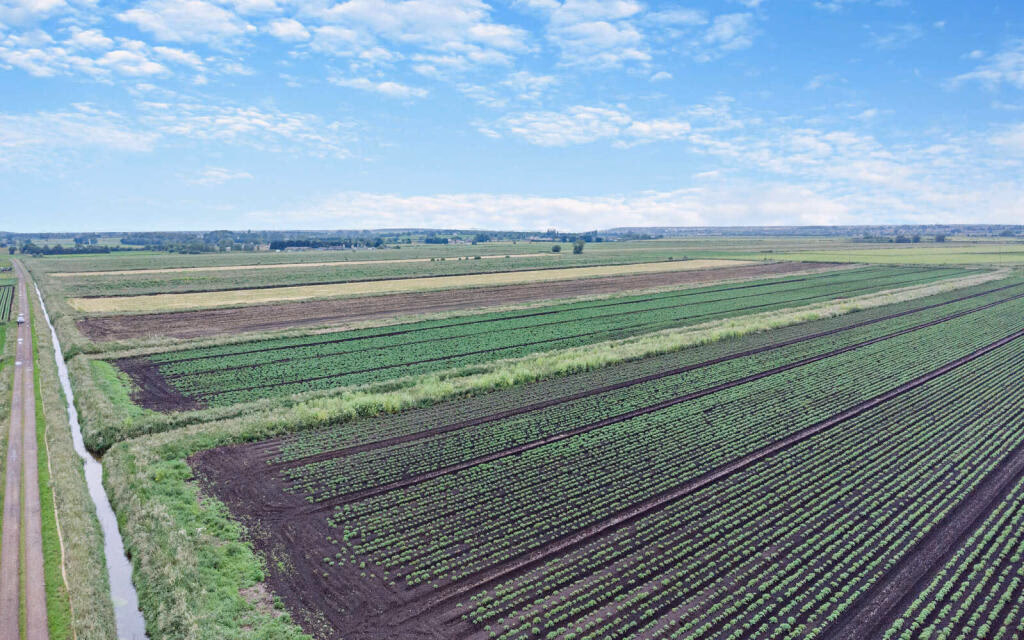 Land for sale - Image 3