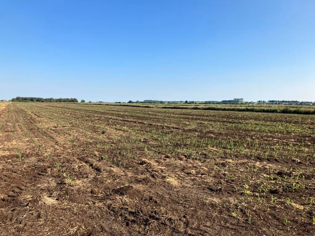 Land for sale - Image 4