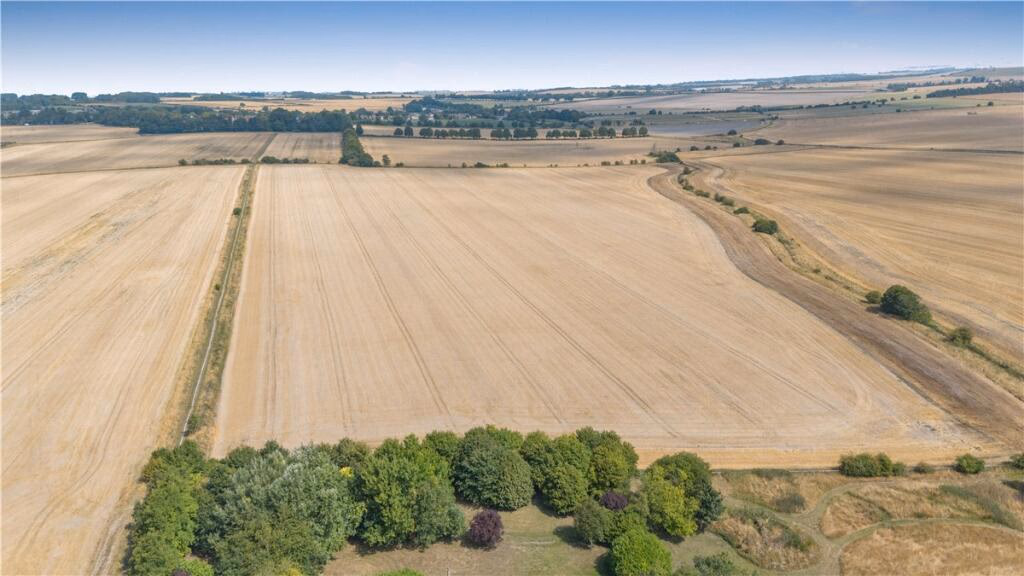 Land for sale - Image 2