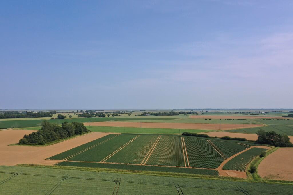 Land for sale - Image 1