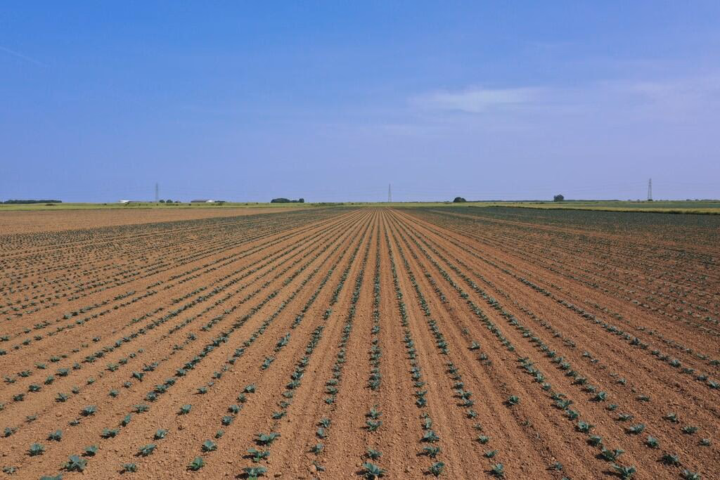 Land for sale - Image 4