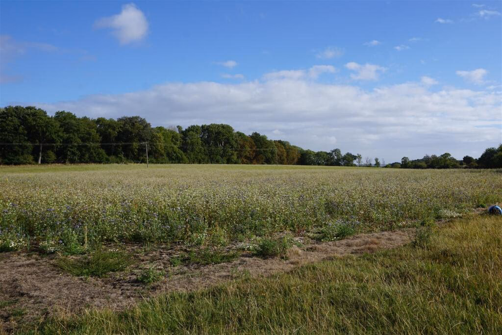 Land for sale - Image 4