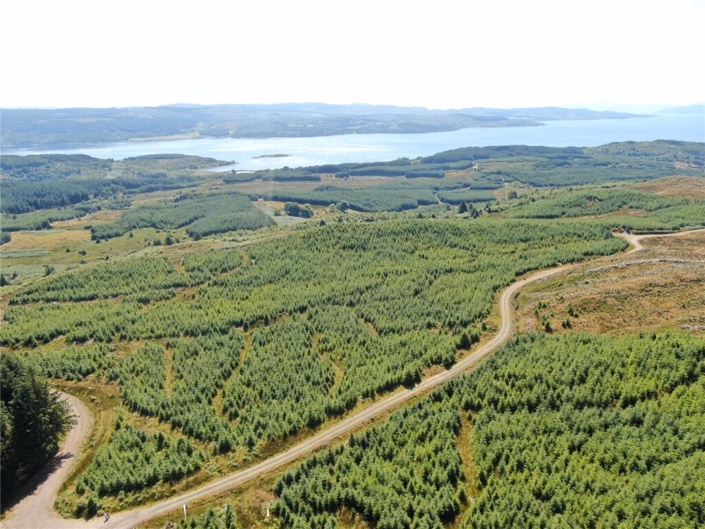 Land for sale - Image 1