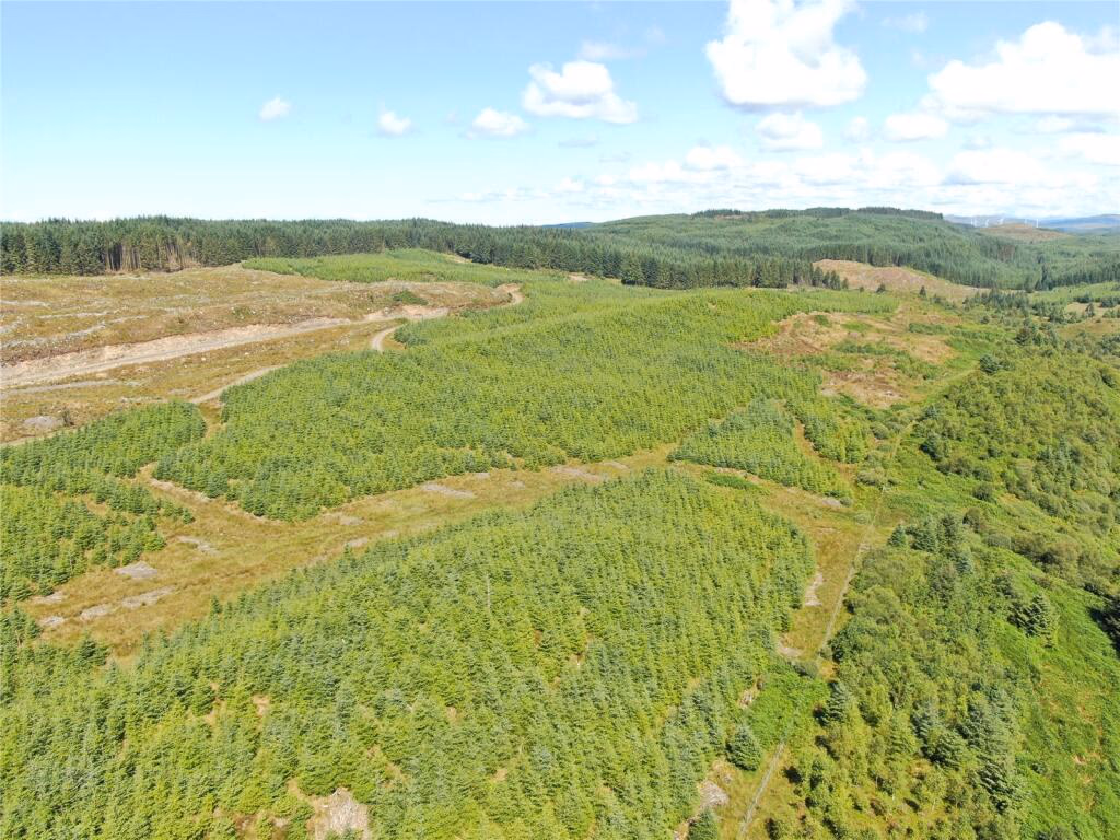 Land for sale - Image 3