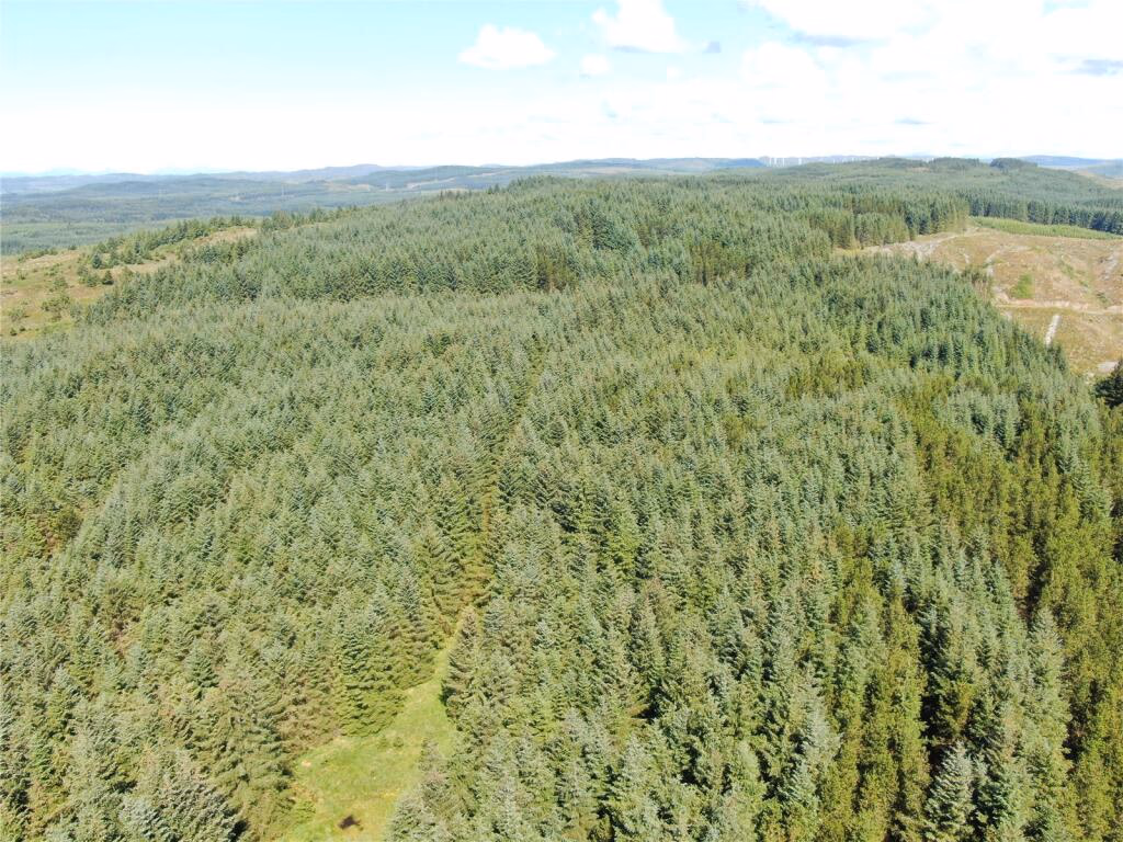 Land for sale - Image 4