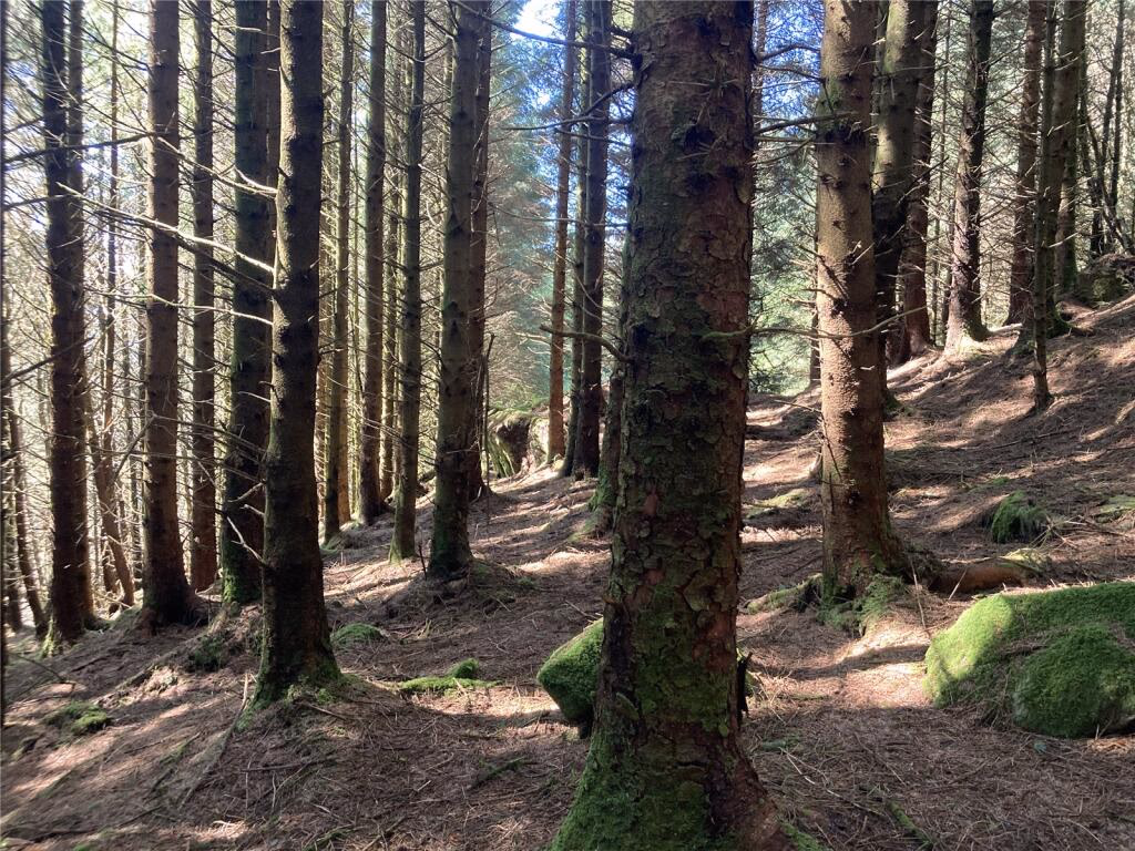 Land for sale - Image 5