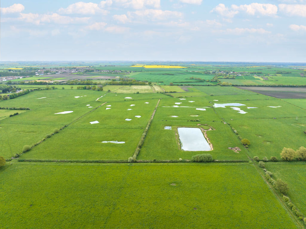 Farm land for sale - Image 3