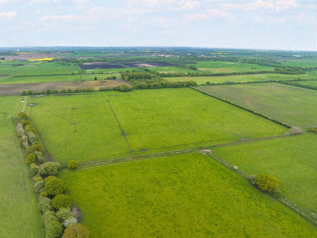 Farm land for sale - Image 4