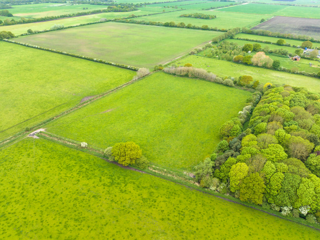 Farm land for sale - Image 5