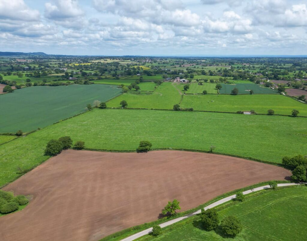 Land for sale - Image 2