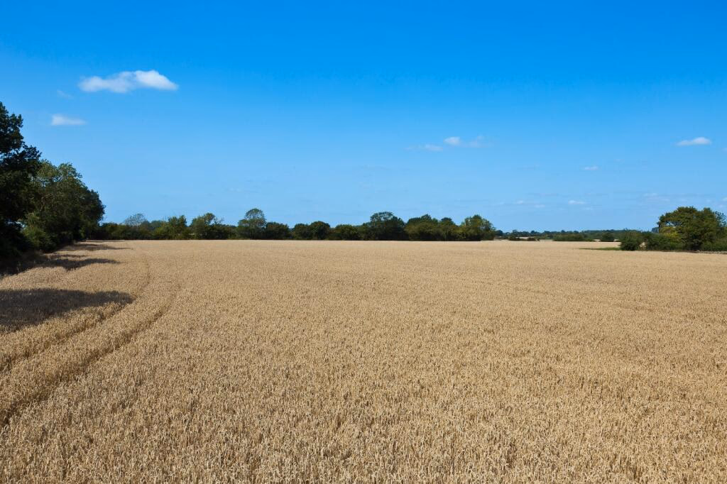 Land for sale - Image 2