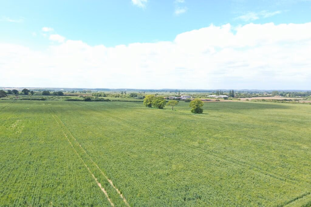 Farm land for sale - Image 4
